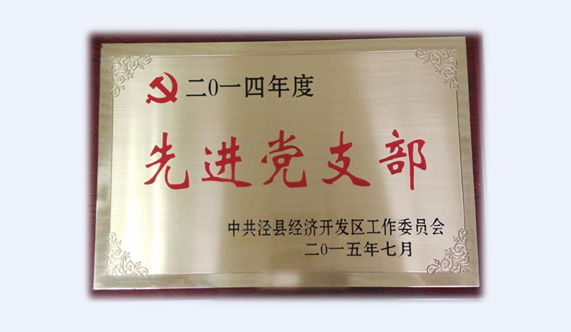 2015年先進(jìn)黨支部