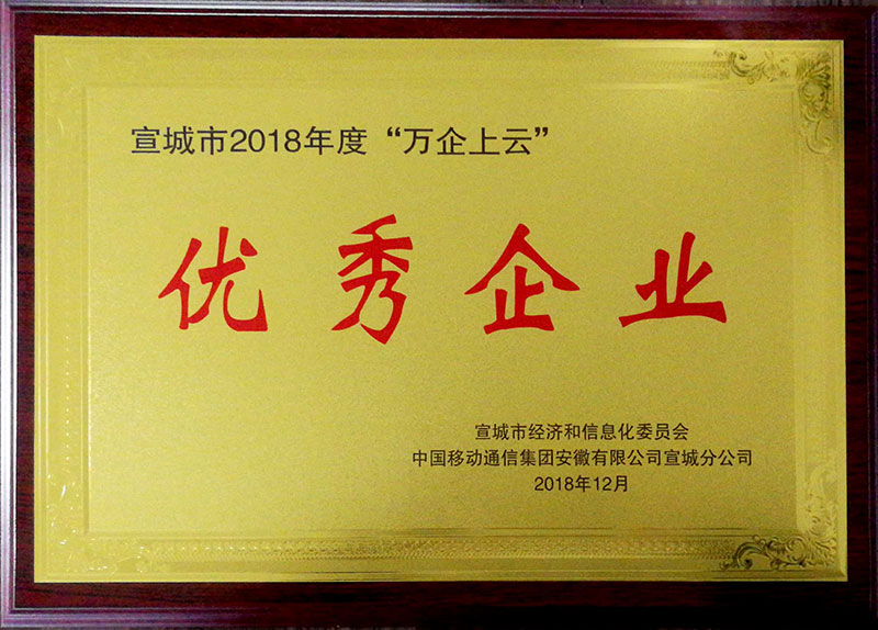 宣城市2018年度“萬企上云”優(yōu)秀單位