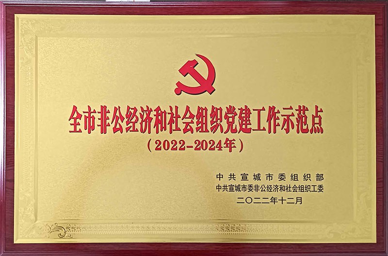 全市非公經(jīng)濟(jì)和社會組織黨建工作示范點